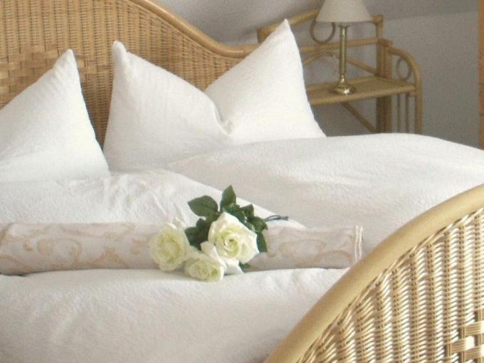 Hotel Villa Constantia Radebeul Extérieur photo